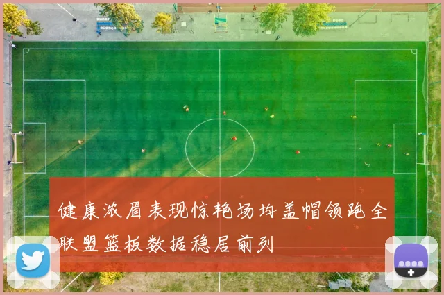 健康浓眉表现惊艳场均盖帽领跑全联盟篮板数据稳居前列