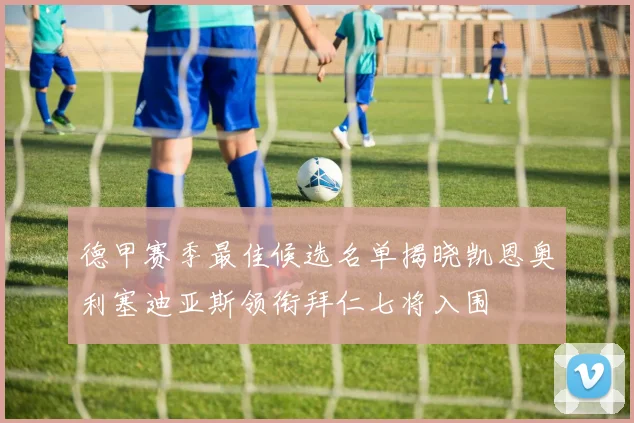德甲赛季最佳候选名单揭晓凯恩奥利塞迪亚斯领衔拜仁七将入围